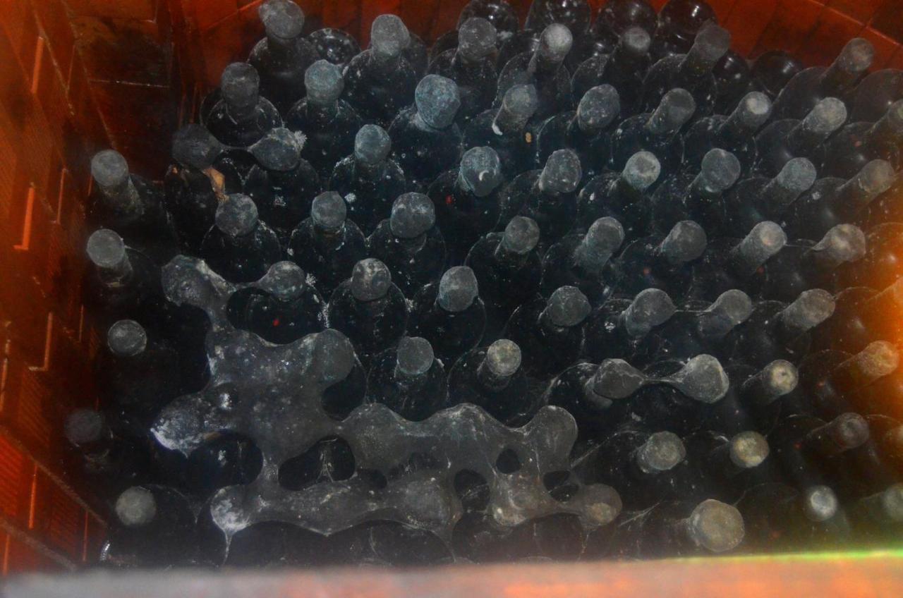 Krupina Ezathouse Devicie酒店 外观 照片